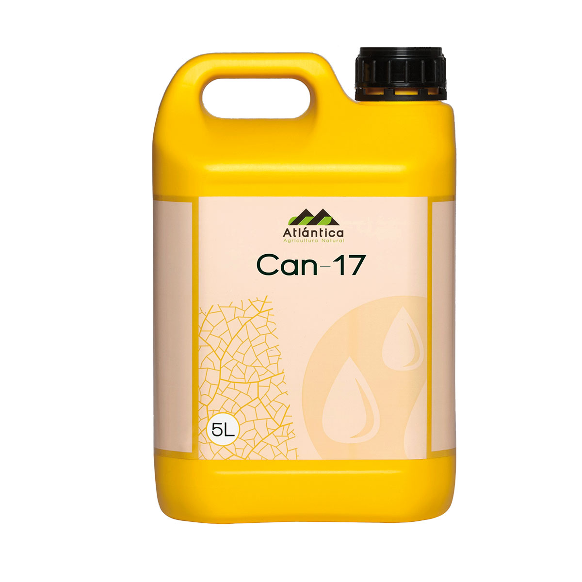 CAN 17